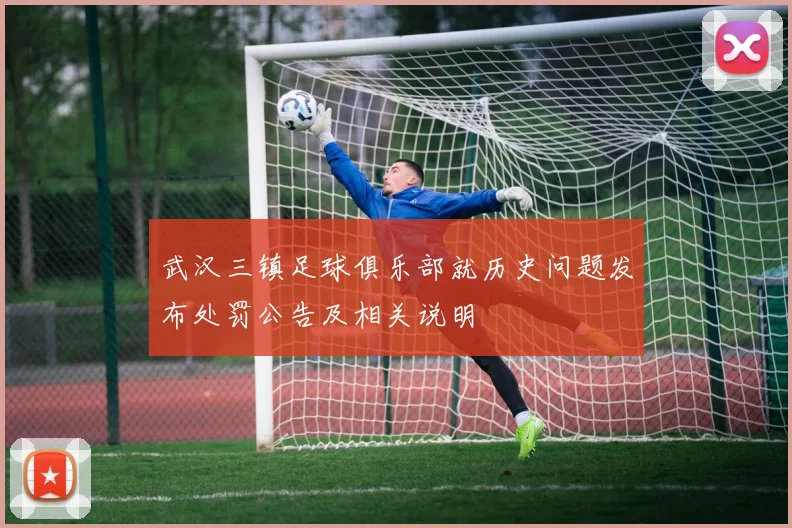 武汉三镇足球俱乐部就历史问题发布处罚公告及相关说明